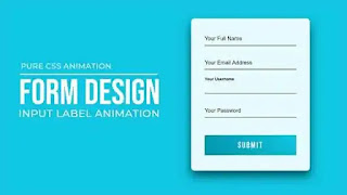 CSS Form Input Label Animation