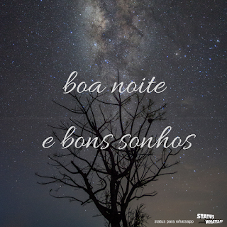 boa noite frases