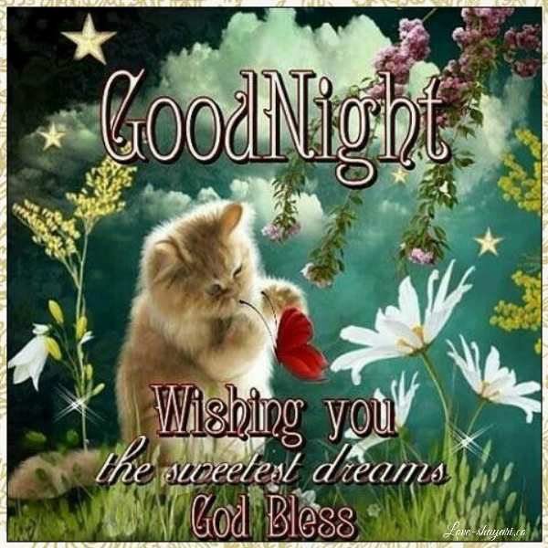 romantic beautiful good night