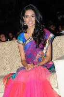 Sarah Jane Dias Stills At Panjaa Audio Launch