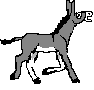 burro