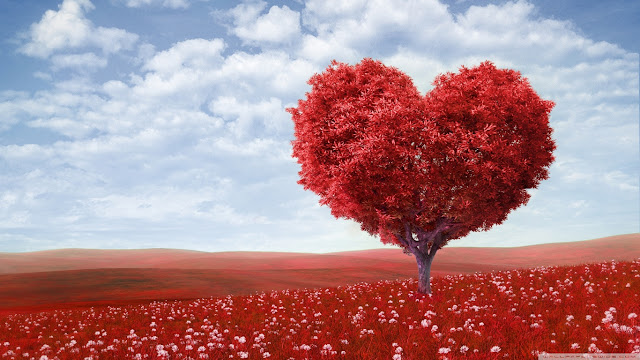 Tree of LOVE / Hearth Tree HD Wallpaper