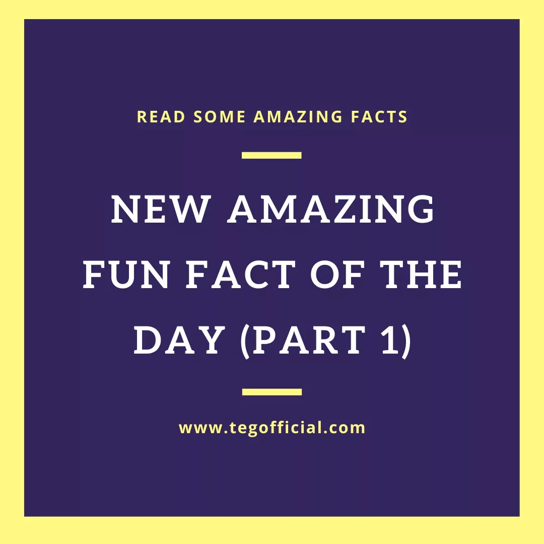 New Amazing Fun Fact of the Day (part 1) - TEGOFFICIAL.COM