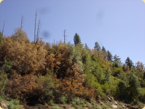 Yosemite National Park, CA 208