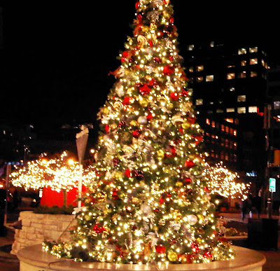 Bethesda Christmas tree