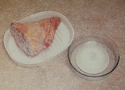 " drawing of meat in platter  and sauce"