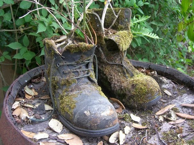 The Lost Gardens of Heligan