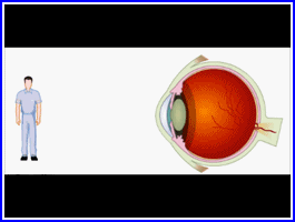 Kelas 8 Remedial Cermin  Lensa dan Alat Optik Mata 