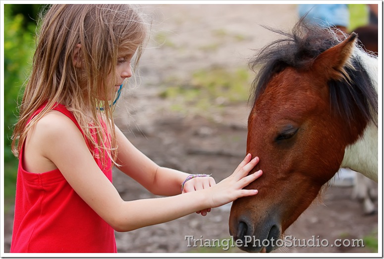 Sophie petting Grayson Highland pony by Steve Jackle - www.trianglephotostudio.com