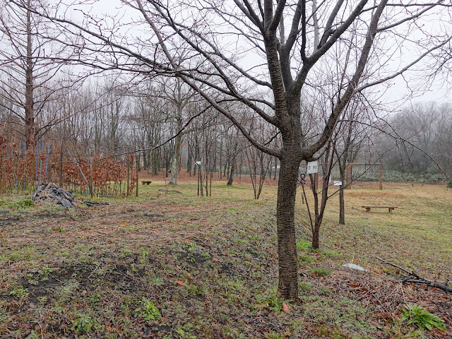 鳥取県西伯郡伯耆町丸山　伯耆町交流の森