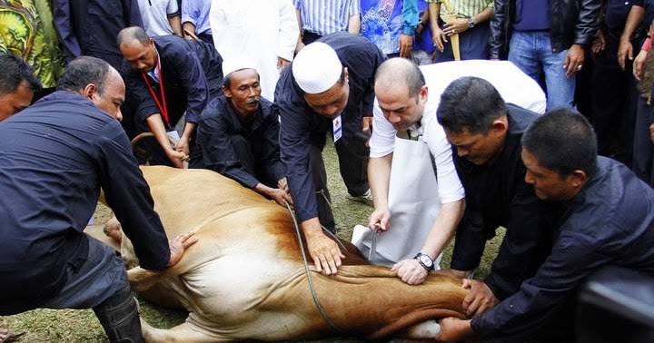 ~ NuKiLaN HaTiKu ~: Hari Raya KorbanPengorbanan???