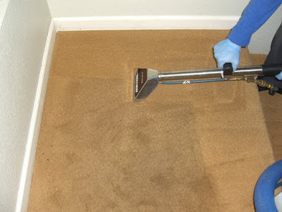 carpet cleaning Bothell, WA