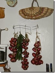 onion storage         