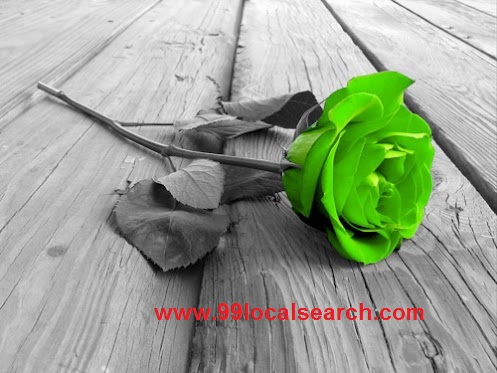 Green rose amazing dnsvrm