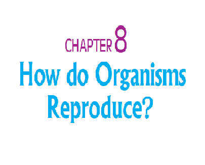 How do Organisms Reproduce - Class 10 Science Textbook Solutions