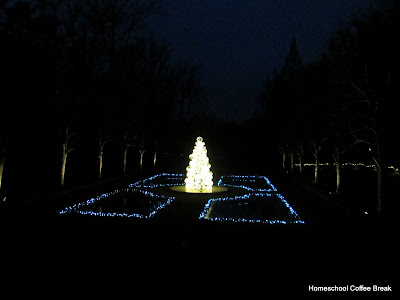 floating Christmas tree - Christmas Lights  - A Longwood Gardens PhotoJournal - Part Two on Homeschool Coffee Break @ kympossibleblog.blogspot.com