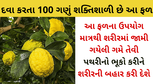 આ ફળના ઉપયોગ માત્રથી શરીરમાં જામી ગયેલી ગમે તેવી પથરીનો ભૂકો કરીને શરીરની બહાર કરી દેશે