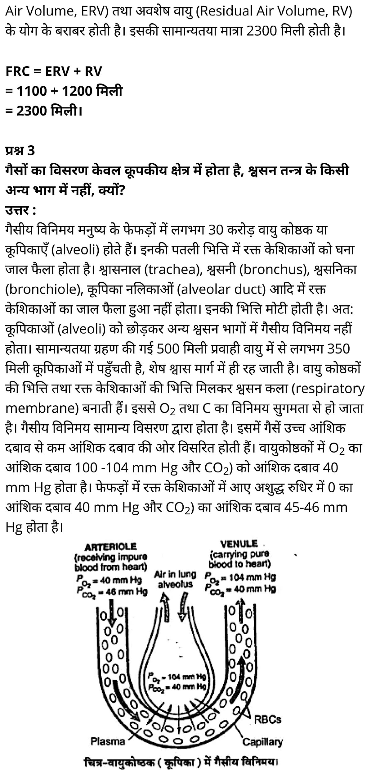 कक्षा 11 जीव विज्ञान अध्याय 17 के नोट्स हिंदी में एनसीईआरटी समाधान,   class 11 Biology Chapter 17,  class 11 Biology Chapter 17 ncert solutions in hindi,  class 11 Biology Chapter 17 notes in hindi,  class 11 Biology Chapter 17 question answer,  class 11 Biology Chapter 17 notes,  11   class Biology Chapter 17 in hindi,  class 11 Biology Chapter 17 in hindi,  class 11 Biology Chapter 17 important questions in hindi,  class 11 Biology notes in hindi,  class 11 Biology Chapter 17 test,  class 11 BiologyChapter 17 pdf,  class 11 Biology Chapter 17 notes pdf,  class 11 Biology Chapter 17 exercise solutions,  class 11 Biology Chapter 17, class 11 Biology Chapter 17 notes study rankers,  class 11 Biology Chapter 17 notes,  class 11 Biology notes,   Biology  class 11  notes pdf,  Biology class 11  notes 2021 ncert,  Biology class 11 pdf,  Biology  book,  Biology quiz class 11  ,   11  th Biology    book up board,  up board 11  th Biology notes,  कक्षा 11 जीव विज्ञान अध्याय 17, कक्षा 11 जीव विज्ञान का अध्याय 17 ncert solution in hindi, कक्षा 11 जीव विज्ञान  के अध्याय 17 के नोट्स हिंदी में, कक्षा 11 का जीव विज्ञान अध्याय 17 का प्रश्न उत्तर, कक्षा 11 जीव विज्ञान अध्याय 17 के नोट्स, 11 कक्षा जीव विज्ञान अध्याय 17 हिंदी में,कक्षा 11 जीव विज्ञान  अध्याय 17 हिंदी में, कक्षा 11 जीव विज्ञान  अध्याय 17 महत्वपूर्ण प्रश्न हिंदी में,कक्षा 11 के जीव विज्ञानके नोट्स हिंदी में,जीव विज्ञान  कक्षा 11 नोट्स pdf,