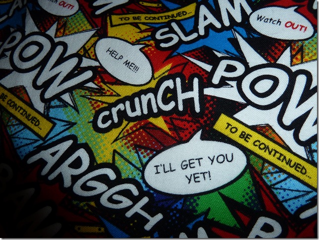 Pip's birthday cushion (8)