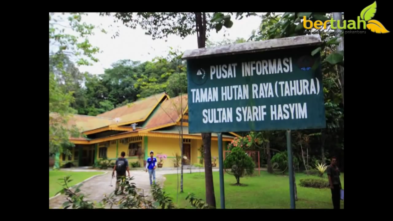 Wisata Taman Hutan Raya Sultan Syarif Hasyim Riau Riau