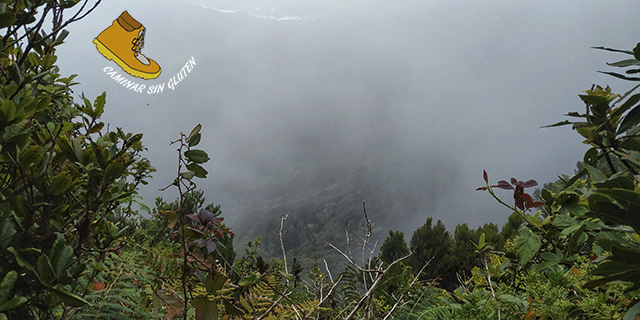 La niebla o lluvia horizontal hizo su presencia en El Pijaral