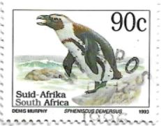 Selo pinguim africano