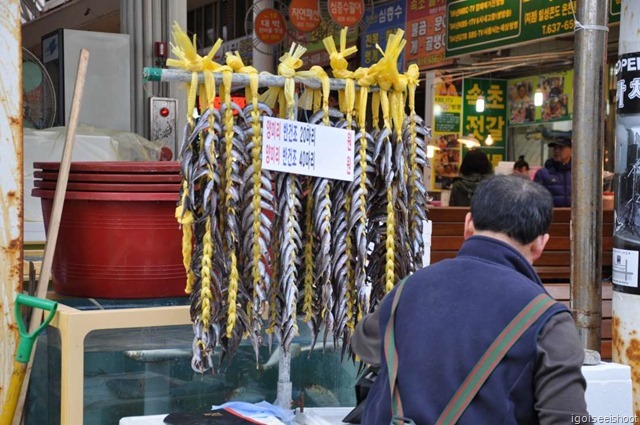 Fisheries Market in Sokcho