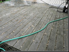 Deck Maintenance 1