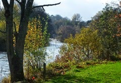 near Richmond