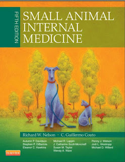 Small Animal Internal Medicine 6th Edition PDF