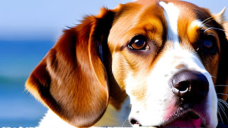 Beagles are an energetic and intelligent breed known for their keen sense of smell and love for exploration. While physical exercise is essential for their well-being, mental stimulation is equally important to keep them happy and healthy