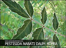 PESTISIDA NABATI dari daun Mimba (Pengendalian Penggerek dan walangsangit)