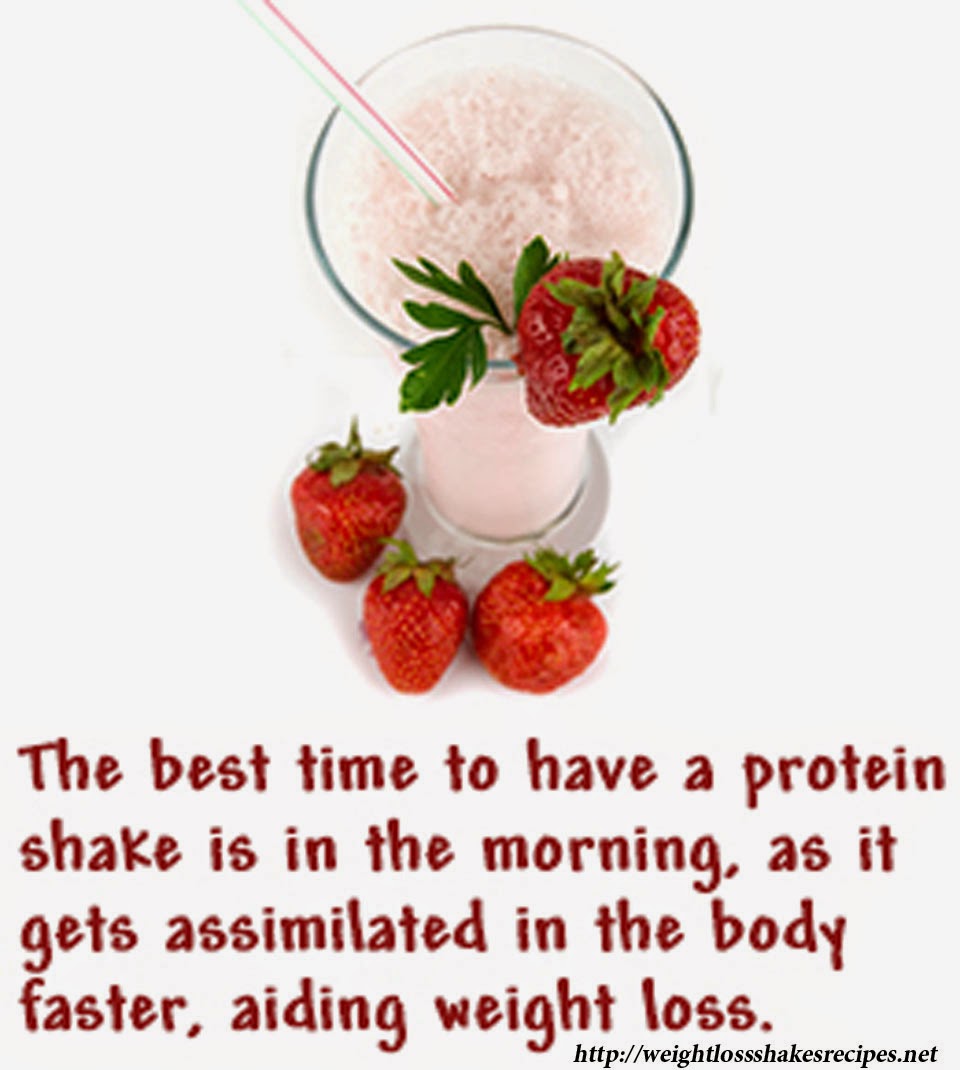 Protein Shakes for Weight Loss 