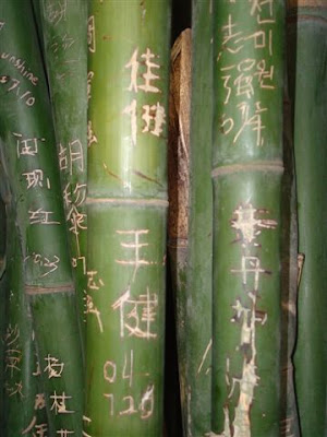bamboo, graffiti alphabet