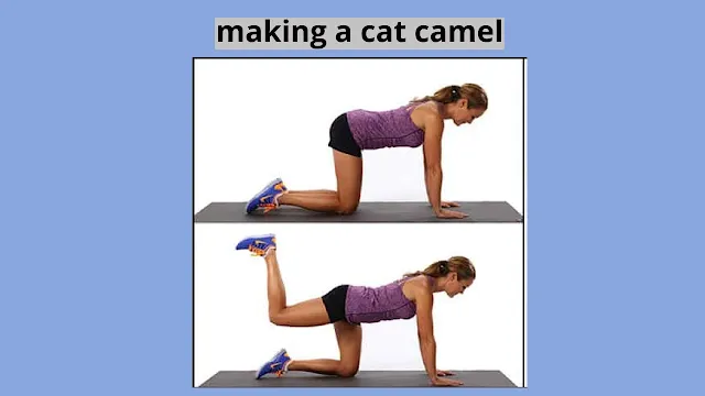 5 yoga exercises for back pain