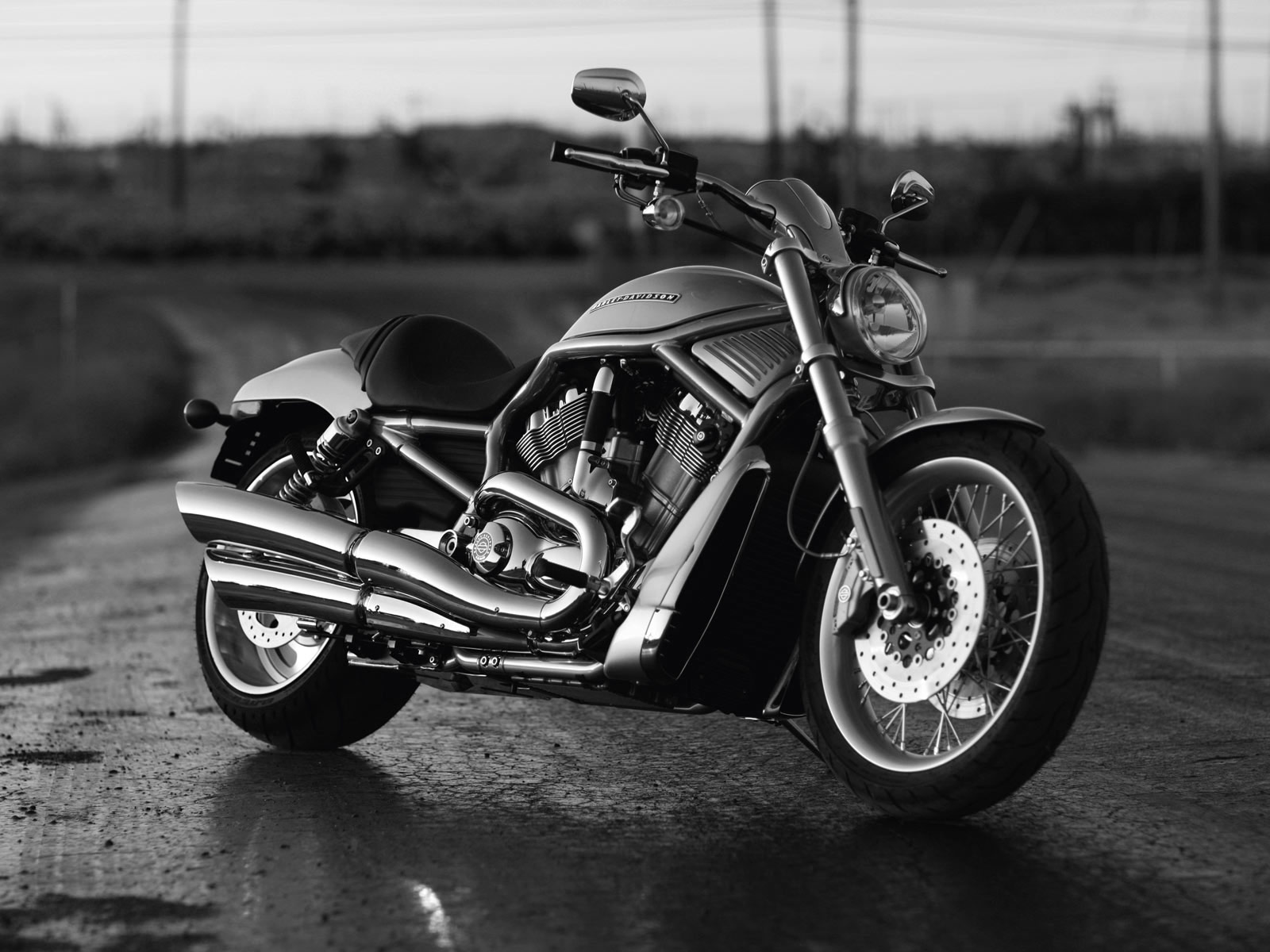 2010 Harley  Davidson  VRSCAW V Rod pictures accident 
