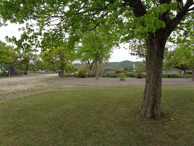 東郷湖羽合臨海公園浅津公園