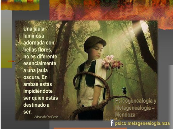 Imagen