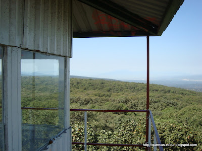 Mesa Nejahuate vista desde Torre2 (BLP)