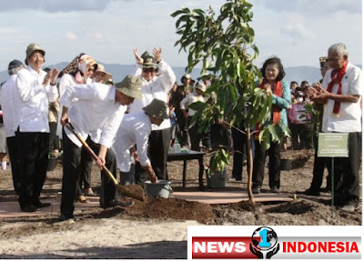 Presiden Jokowi Tanam Pohon Durian di Danau Toba.