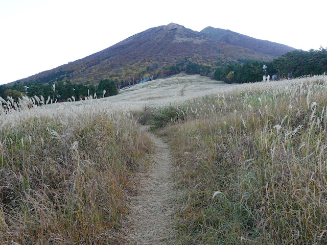 大山 桝水高原からの眺望