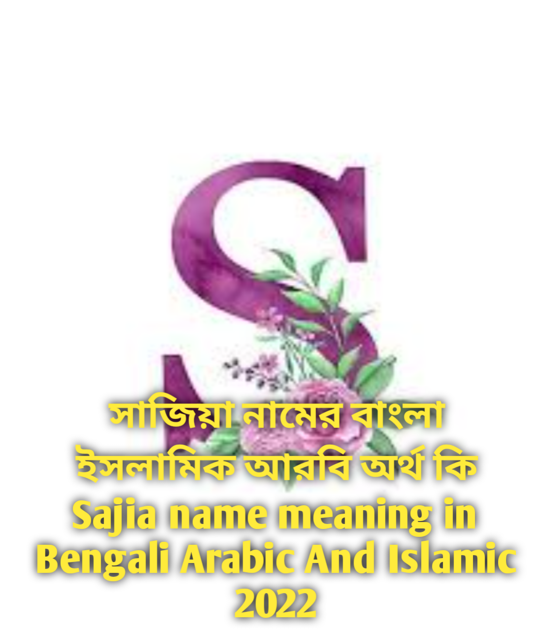 Sajia name meaning in Bengali, Sajia name meaning, সাজিয়া নামের অর্থ কি, Sajia namer ortho ki, সাজিয়া নামের বাংলা অর্থ কি, সাজিয়া নামের ইসলামিক অর্থ কি, সাজিয়া নামের আরবি অর্থ কি, সাজিয়া নামটি কি আরবী নাম, সাজিয়া নামটি কি ইসলামিক নাম,