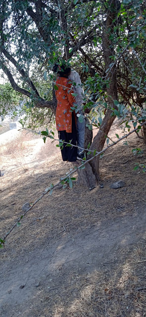 વિંછીયા નજીક  હિંગોળગઢના જંગલમાં 2  પ્રેમી પંખીડાની લાશ મળી