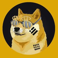 busdoge-grow