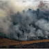 Macron, Celebrities Get Hysterical: Burning Amazon Rainforest The ‘Lungs Of The World.’ Rainforest Expert: That's ‘Bulls***.’