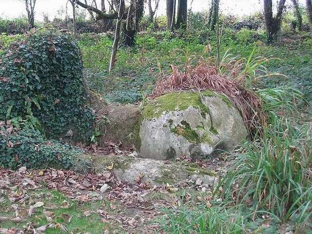 The Lost Gardens of Heligan