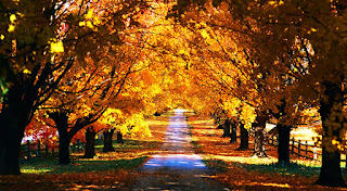 Beautiful Autumn HD Wallpaper Photos