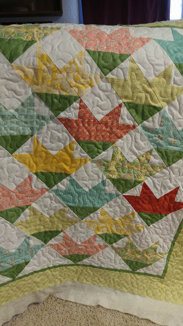 Carolina Lily Project Quilting Challenge Quilt