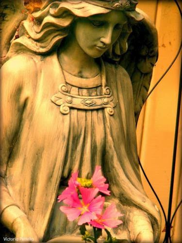 Moments Of Meditation