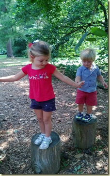 WP_20130702_011
